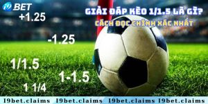 Giải đáp kèo 1/1.5 là gì & Cách đọc chính xác nhất
