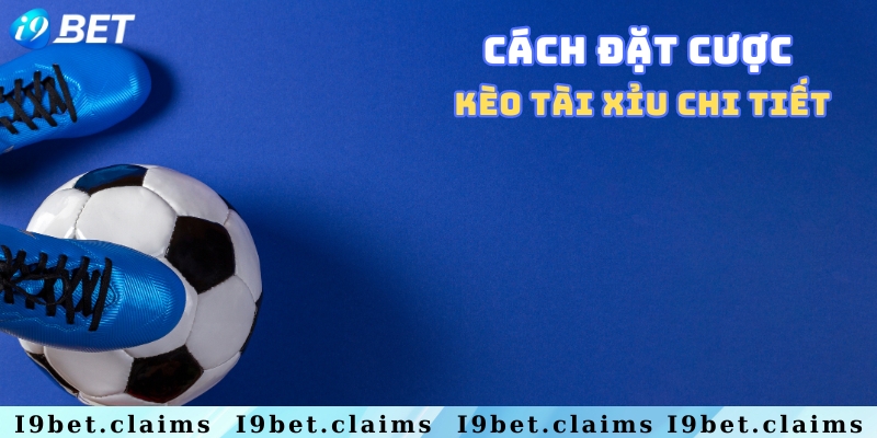 Hướng dẫn cách đặt cược đơn giản